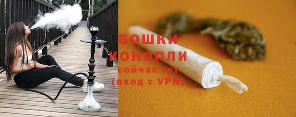 молекула духа Белоозёрский
