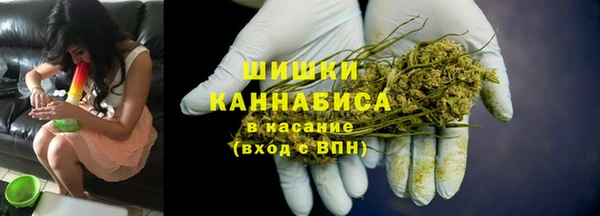 молекула духа Белоозёрский