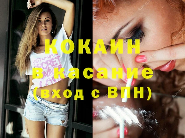 сатива Новодвинск