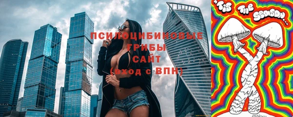 молекула духа Белоозёрский