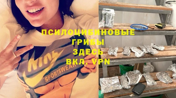 молекула духа Белоозёрский