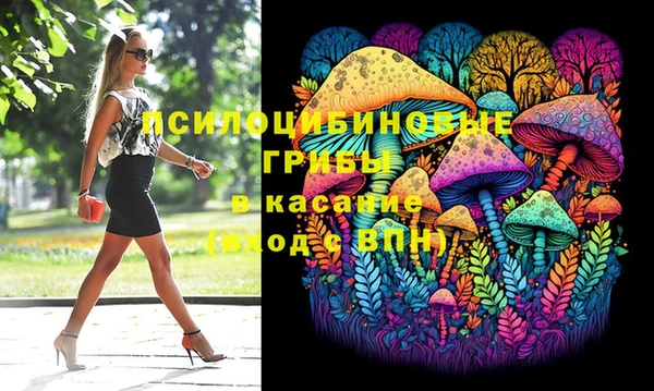гашиш Богородицк