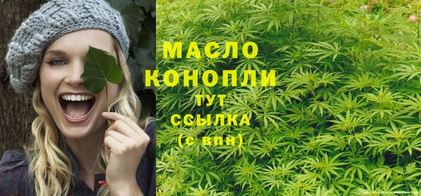 молекула духа Белоозёрский