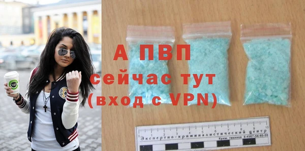 стаф Новокубанск