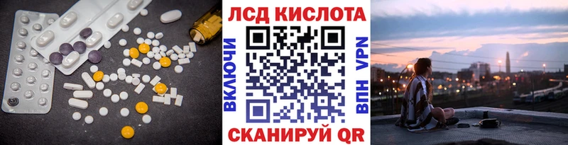 Купить закладки  Людиново  ЛСД экстази кислота 