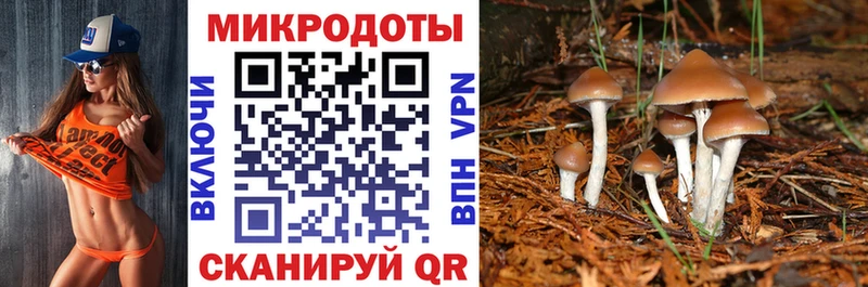 Купить закладки  Людиново  Галлюциногенные грибы GOLDEN TEACHER 